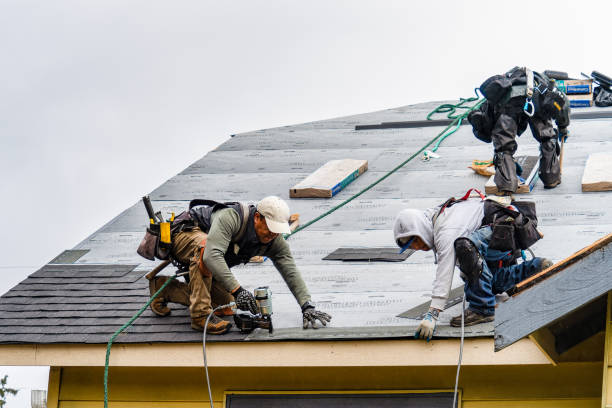 Professional Roof Repair technician working in Mc Queeney, TX